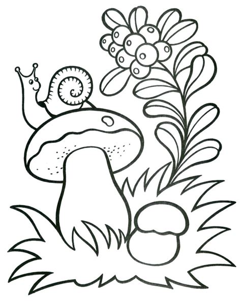 printable coloring pages mushrooms