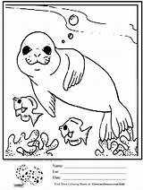 Seal Coloring Kids Pages Cute Printable Ocean Drawing Animals Baby Fish Seals Simple Worksheets Leopard Elephant Color Drawings Kindergarten Sheets sketch template