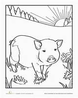 Coloring Pages Farm Preschool Education Piglet Kids Pig Worksheet Worksheets Animal Animals Books Pigs Printable Choose Board Artikel Artigo Van sketch template