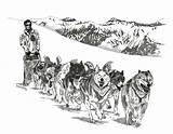 Sledding Sled Schlittenhunde Mushing Jungfraujoch Slede Honden Iditarod sketch template