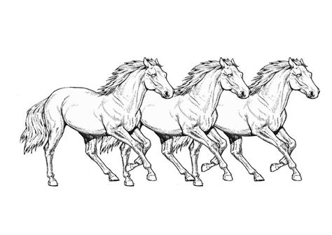 horse coloring pages  kids horse coloring pages