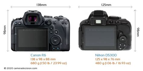 Canon R6 Vs Nikon D5300 Detailed Comparison