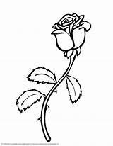 Rose Outline Flower Tattoo Stencil Line Clipartix sketch template