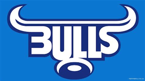 blue bulls wallpapers  pictures