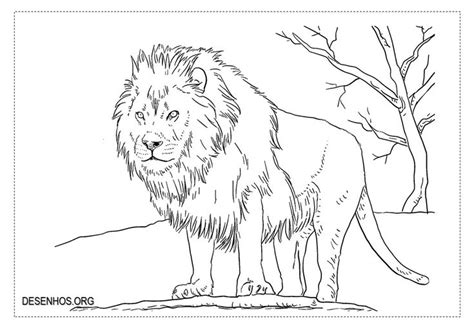 printable coloring pages  relistic lions