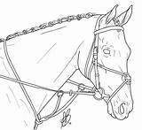 Dressage Tack Lineart Horses Ievent Template sketch template