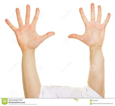 Dez Dedos Aumentados Em Duas Mãos Imagem De Stock Imagem