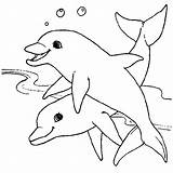 Dolfijn Dolfijnen Dolphin Vissen Dolphins Dauphin Colouring sketch template