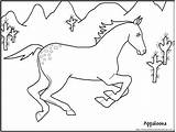 Horse Coloring Pages Kids Drawing Christmas Printable Appaloosa Getdrawings Popular Library Clipart sketch template