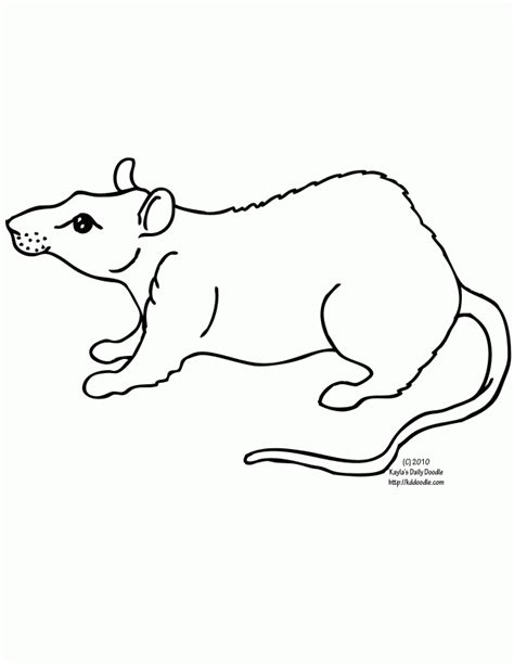 rat coloring page coloring home