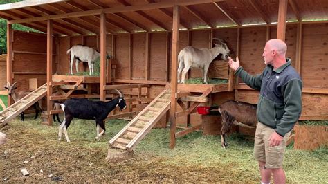 build  goat shelter youtube