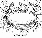 Nest Coloring Bird Pages Clipart Birds Printable Nests Sheet Kids Coloringpagesfortoddlers Webstockreview Animal Drawing sketch template