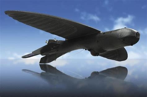 condor aerials maveric drone pics indiatimescom