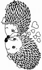 Hedgehog Coloring Pages Color Animal Print Sheets Animals Back sketch template