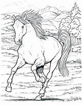Horse Coloring Pages Printable Running Realistic Horses Getcolorings Getdrawings sketch template