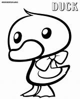 Duck Coloring Pages Cute Print Comments Coloringway sketch template