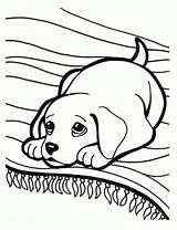 Coloring Sad Face Sheet Library Clipart Retriever Puppy Golden Smiley sketch template