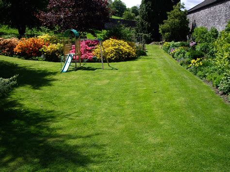 annual lawn care schedule grass maintenance   year