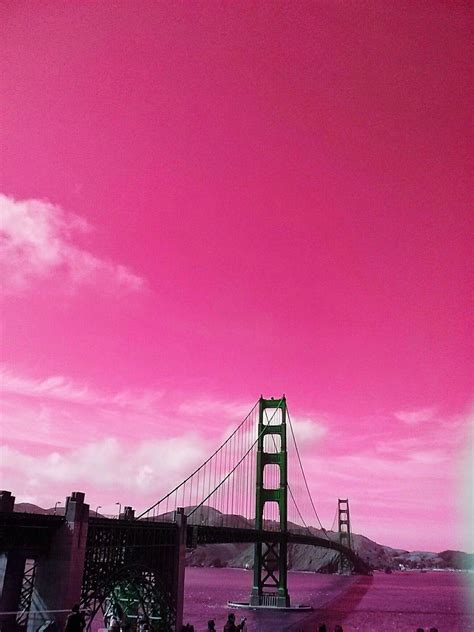 photo golden gate bridge pink sky photo  amy chang golden gate