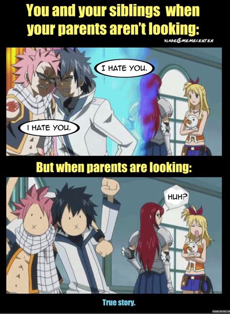Pin By No One On Drôle Fairy Tail Funny Fairy Tail Meme Anime Funny