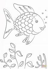 Coloring Fish Rainbow Pages Printable sketch template