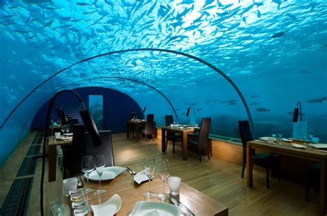 underwater adventures  conrad maldives rangali island static tours journal