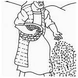 Parable Coloring Sower Kids Farmer Scattering Seed sketch template