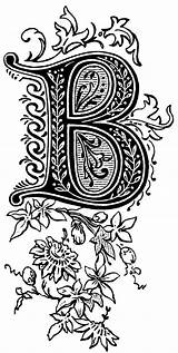 Lettering Alphabet Styles Letters Letter Fancy Zentangle Hand Pages Coloring Fonts Calligraphy Illuminated Typography Drawn Yahoo Search Template sketch template