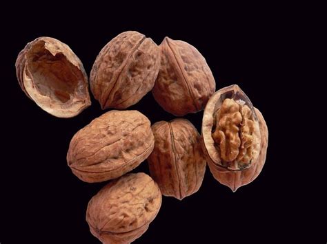 cracking  walnut mystery preventing prostate cancer nature world news