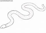 Draw Snake Step Easy Drawing Snakeskin Erase Guidelines sketch template
