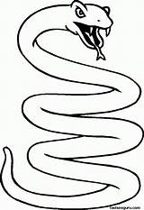 Coloring Pages Printable Snakes Snake Popular sketch template