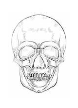 Calavera Humana Supercoloring Trendy Skulls Realistic Igual Zeichnungen Artislife Einfach sketch template