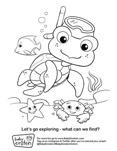 coloring page   image   turtle  fish