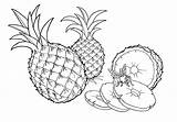 Ananas Abacaxi Colorare Obst Piña Coloriage Colorkid Colorier Coloriages sketch template
