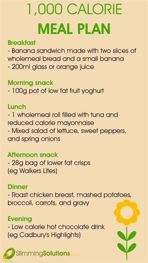 day meal plan    calorie diet slimming solutions