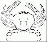 Crab Horseshoe Coloring Pages Getdrawings Drawing sketch template