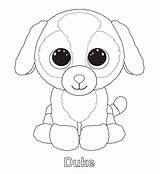 Coloring Beanie Pages Boo Duke Ty Printable Dog Boos Colouring Kids Print Baby Color Para Dogs Info Toys Colorir Ninjago sketch template
