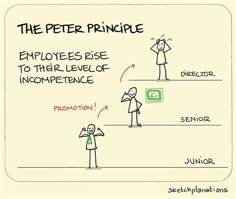 peter principle sketchplanations