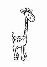 Giraffen Kleurplaten Olifanten Kleurplaat Uitprinten sketch template