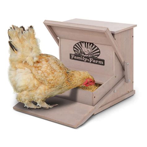 precision pet products wood treadle chicken feeder chicken feeder chicken feeders chicken