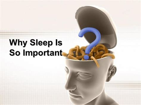 why sleep is so important to your health