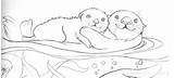 Otter Loutre Nutria Colorear Coloriages Otters Jos Gandos sketch template