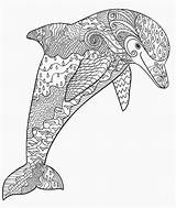 Coloring Pages Zentangle Mandala Dolphin Dolphins Stress Colouring Adult Ab Cool Books Bmg Club Info Music sketch template
