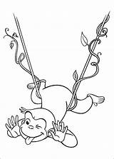 Ausmalbilder Affen Affe Neugierige Animaatjes Malvorlagen Malvorlage sketch template