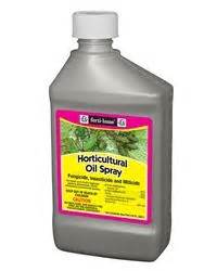 horticultural oil spray  oz