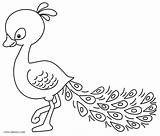 Peacock Coloring Pages Printable Baby Kids Adults Drawing Cool2bkids Color Sheets Getdrawings Adult Printables Getcolorings Print sketch template