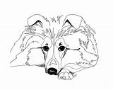 Sheltie Coloring Sheepdog Drawing Shetland Pages Dog Drawings Tattoo Dogs Collie Colouring Tattoos Printablecolouringpages Getdrawings Retouch Cat 720px 19kb sketch template