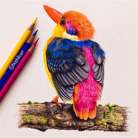 Instagram Drawing By Biophilicart Drawings Cool Art Drawings Bird