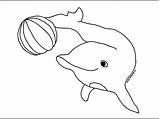 Dolphin Coloring Pages Color Printable Dolphins Template Print Cute Colour Kids Book Drawing Animals Templates Sheets Ball Jump Delfin Cartoon sketch template