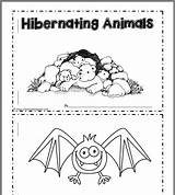 Hibernation Hibernate Animal sketch template